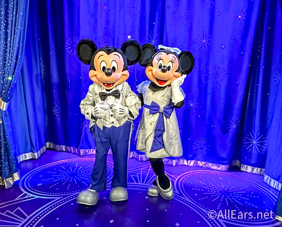 Mickey & Minnie 100th Anniversary