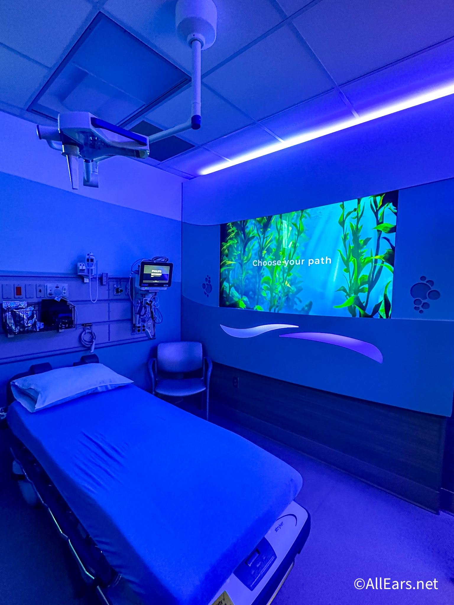 Adventhealth Unified Patient Portal - 4qab4xj