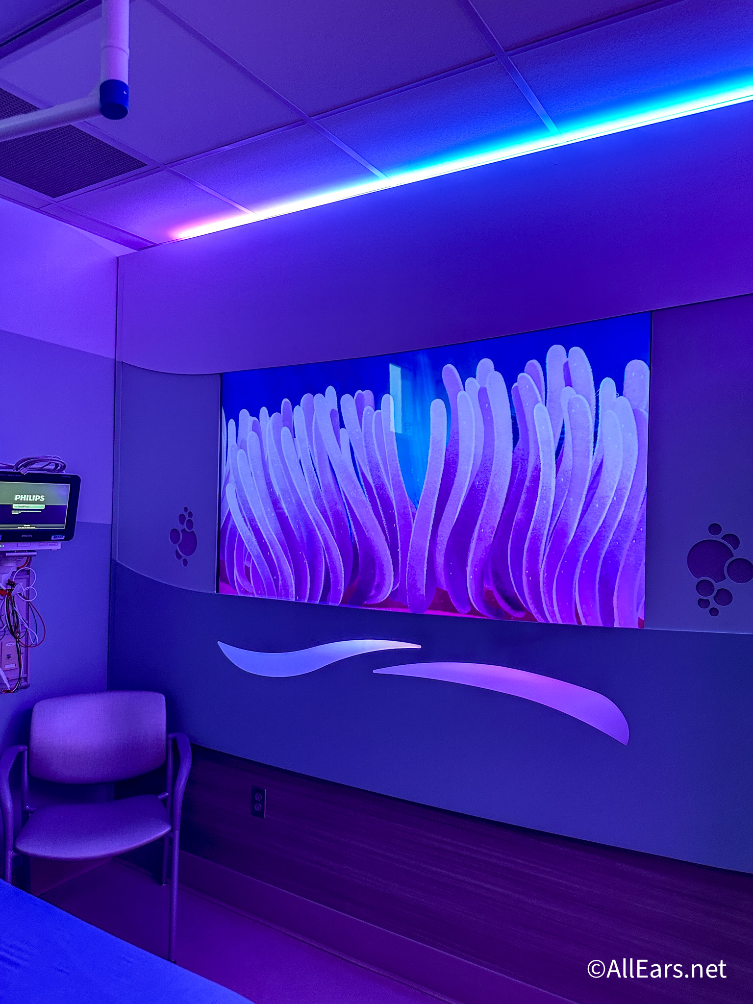 Adventhealth Er Kissimmee - gsuewul