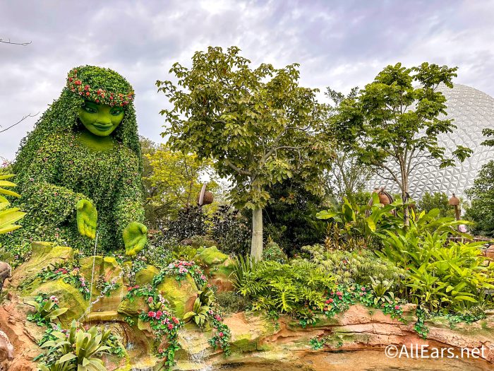 is kilimanjaro safari safe for pregnant