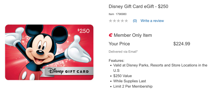 Disney Gift Card eGift - $250