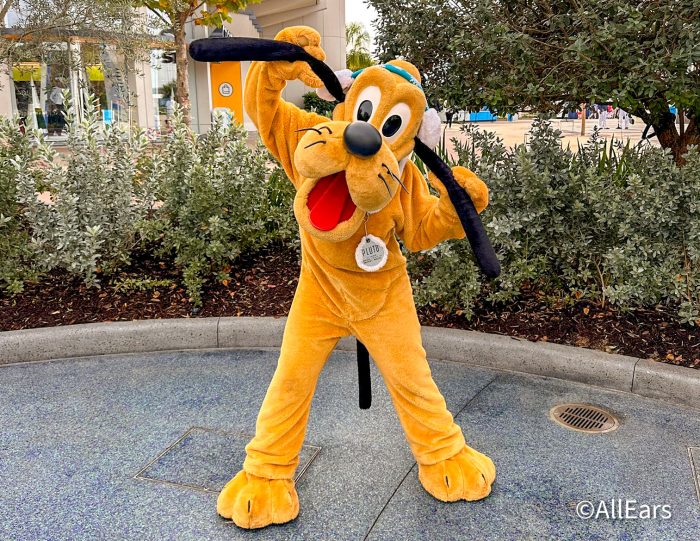 Pluto in Celebration Gardens