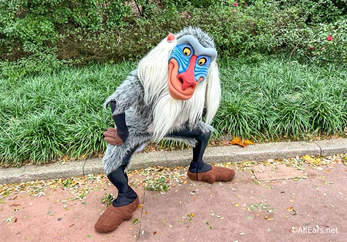 Rafiki