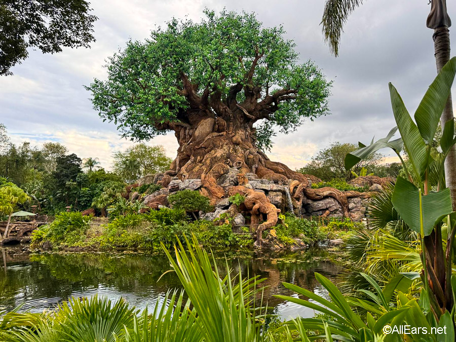 THIS Is Why We Can’t Stop Going to Disney World’s Most Underrated Park