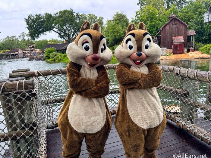 Chip ‘N’ Dale in Frontierland
