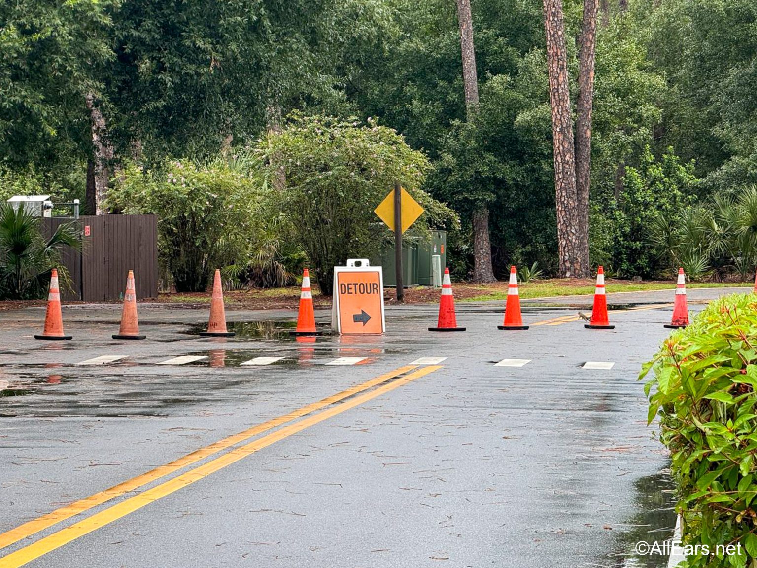 Potential Leak Causes Bus Route Changes at Disney World Hotel