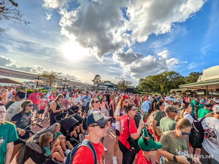 See the Crowd Trends at a SOLD OUT Mickey’s Very Merry Christmas Party in Magic Kingdom