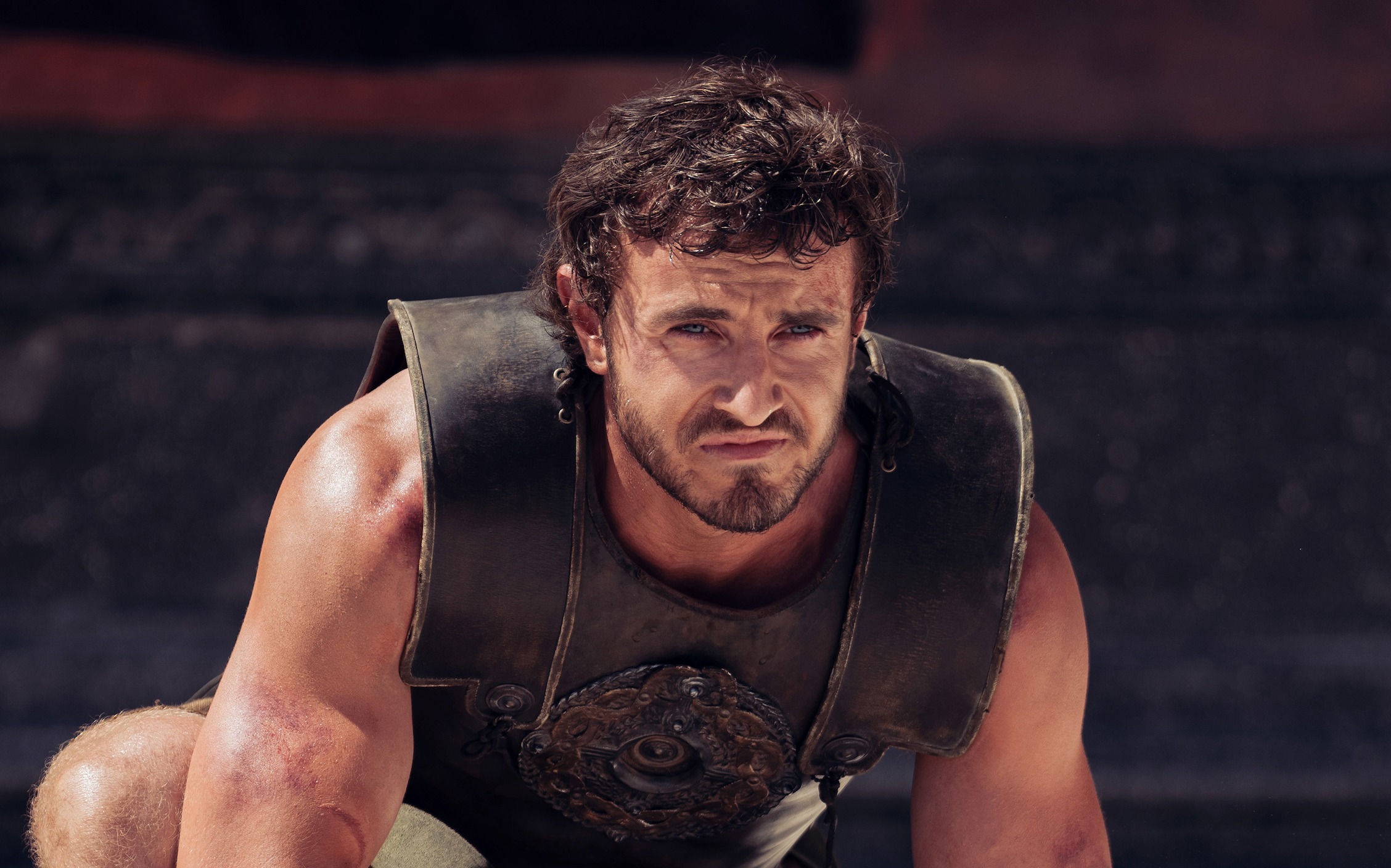 which-muppet-would-be-the-best-gladiator-allears-net