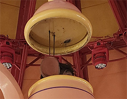 Where in the World #871