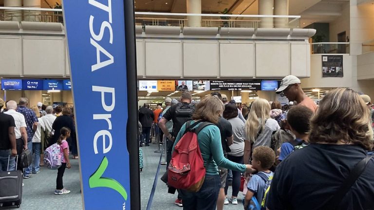 TSA Just Banned a Popular Travel Item - AllEars.Net