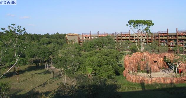 Arusha Savanna from 5th Floor