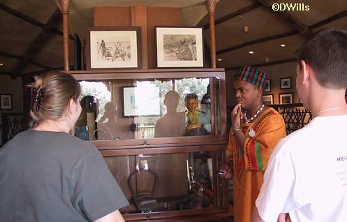 Thabo Sunset Savanna Room Travelers Exhibit