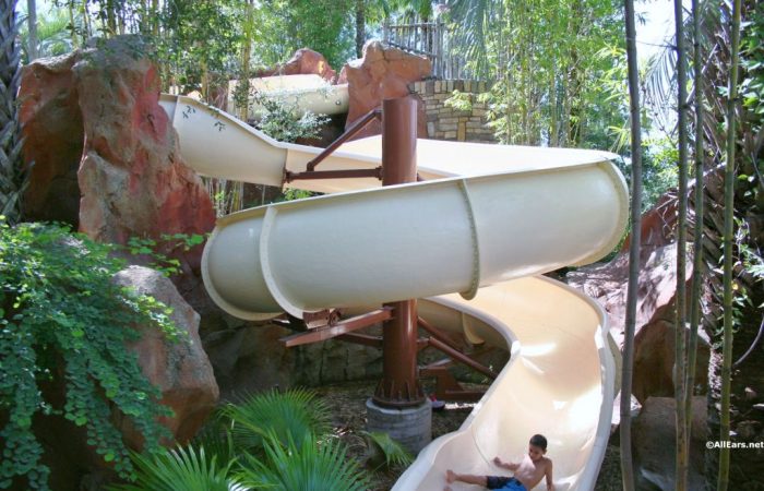 animal kingdom lodge pool view room tour