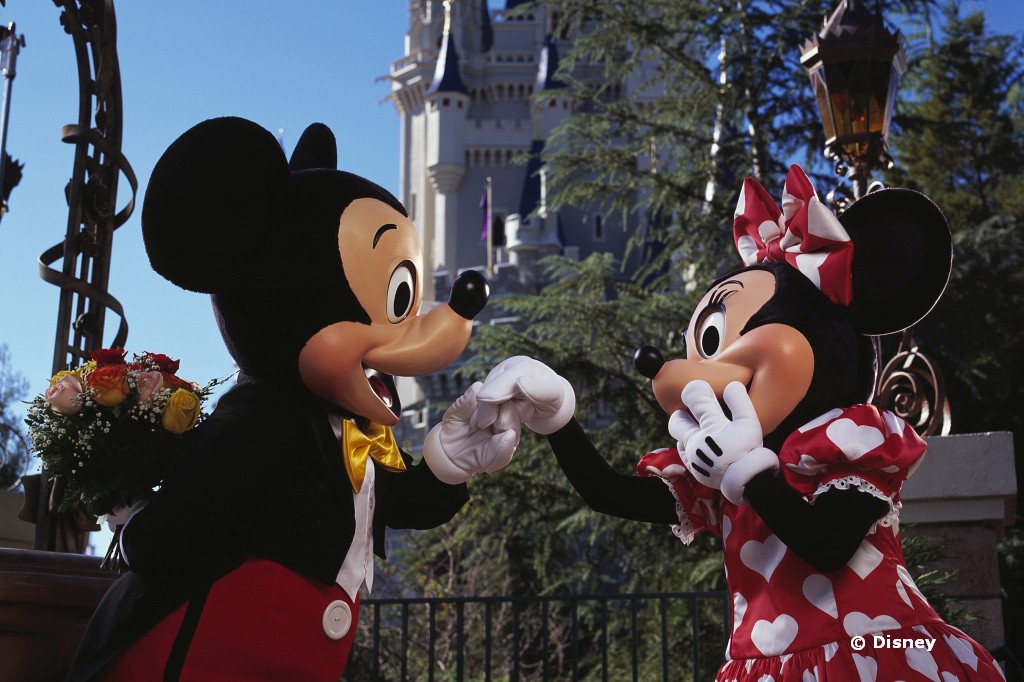 Mickey and minnie disneyland-adult archive