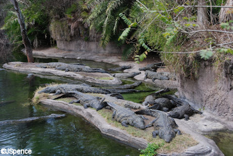 kilimanjaro safaris length