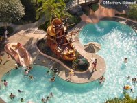 View of Pool at Disneyland Hotel