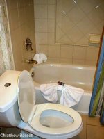 Bathroom Tub & Toilet